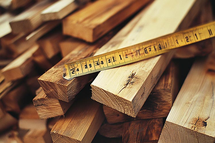 Woodworm