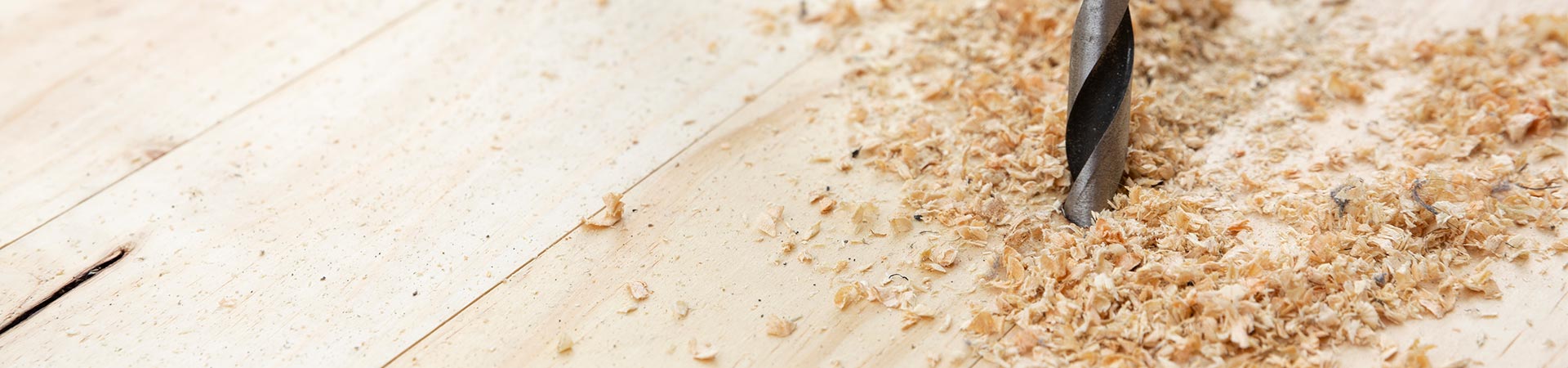 Woodworm 